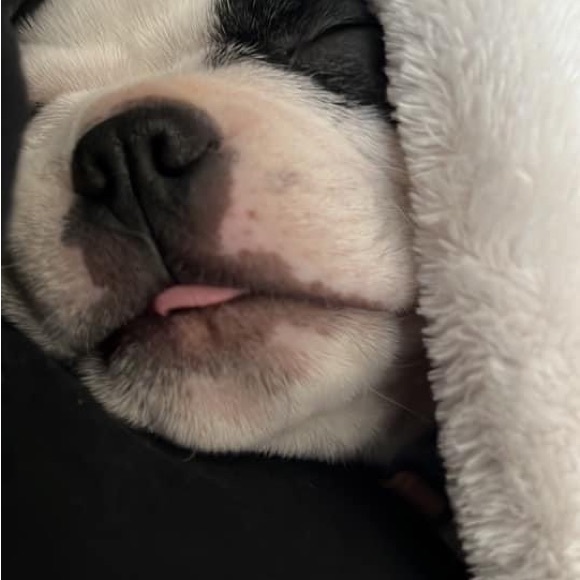 Meet your Posher, Tammy with Heavenly with Elegance, LLC - Picture 9 of 10